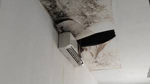 Kurangnya Perawatan dan Pembersihan