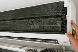 Jamur dan Mikroorganisme di Evaporator