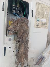 Tikus masuk ke unit indoor AC