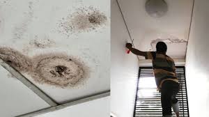 Mencegah Kebocoran di Plafon Gypsum Pada AC Bekas