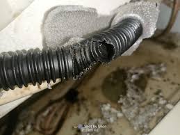 Penyebab Pipa Drainase AC Digigit Tikus